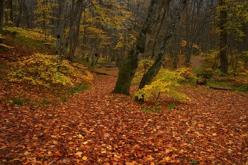 Herbst-Outfit / ***