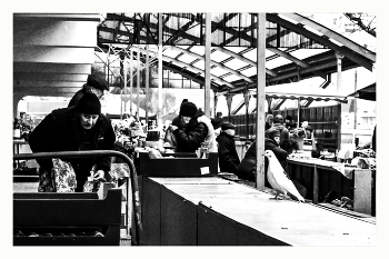 Der Geruch des Winters / ***