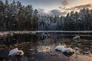 Zum Schweigen gebracht. / ***