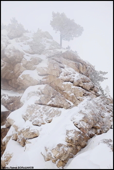 In der nördlichen Wildnis ... / ***