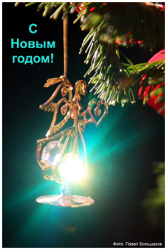 Frohes Neues Jahr! / ***