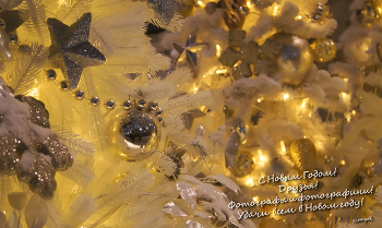 Frohes Neues Jahr! / ***