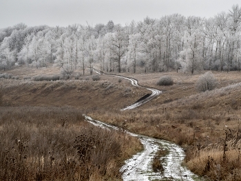 Glückliches Neues Jahr !!! / /\/\/\/\