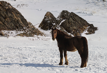 Frohes Neues Jahr! / ***