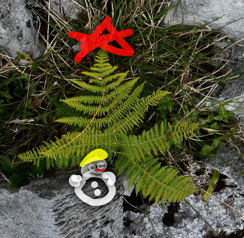 Glückliches Neues Jahr !!! / ***