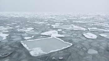 Frohes Neues Jahr! / ...