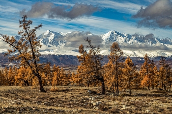 istvennitcy / istvennitcy