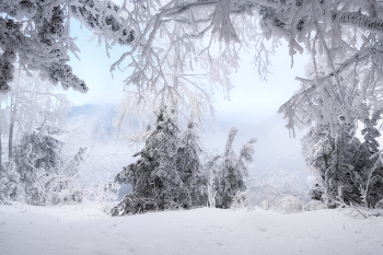 Märchen von den Winterwald / ***
