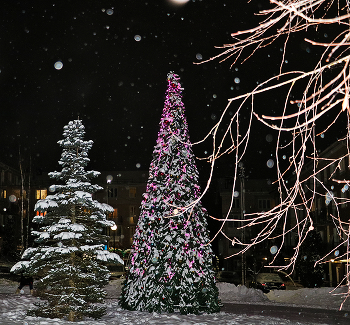 In der Silvesternacht / ***