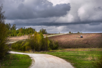Frühlingsthema / ***