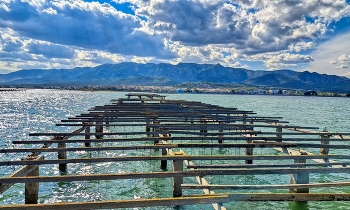 La Ràpita - badia Alfacs (muscleres) - Montsià / La Ràpita - badia Alfacs (muscleres) - Montsià