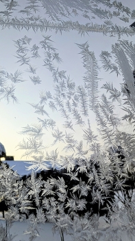 Zeichnen auf Glas / ***