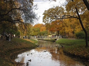 Goldener Herbst / ***