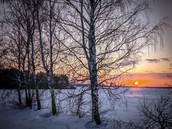 Die Januar-Sonnenuntergänge / ***