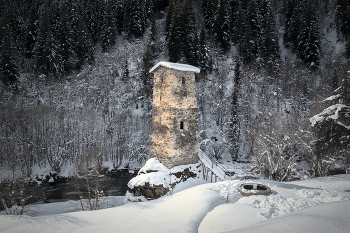 Swan Tower Of Love / ***