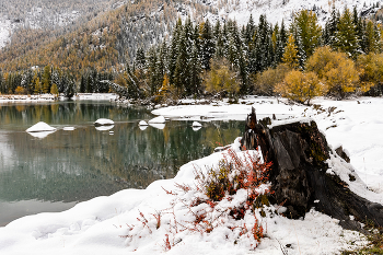 Der erste Schnee / ***