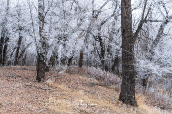 Eisiger Morgen ... / ***