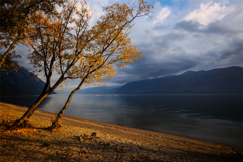 Morgen auf dem See. / ***