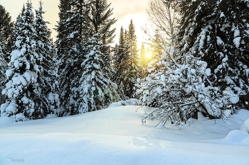 Sonnenuntergang im Winter / ***