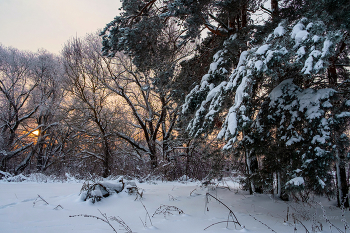 Winterdämmerung. / ***