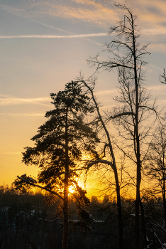 Sonnenuntergang im Winter / ***