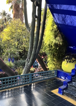 Jardin Majorelle, Marrakesh / Garden Majorelle in Marrakesh, Morocco