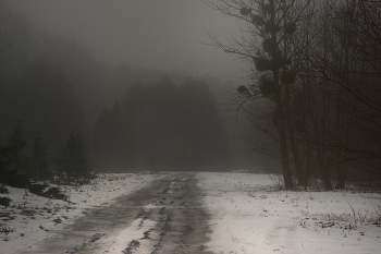 Nebliger Morgen / ***