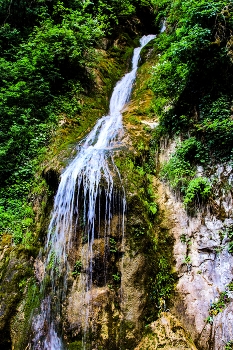 Wasserfall / ***