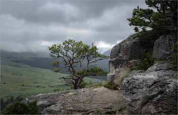 Über den Wolken / ***