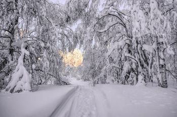 Gegen das Licht / ***