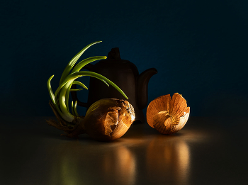 fast frühlings / ***