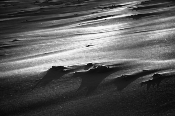 Wetter wieder ... / ***