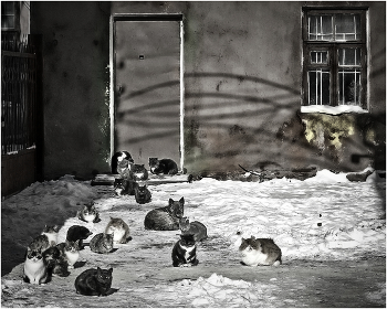 Unter dem Deckmantel / ***