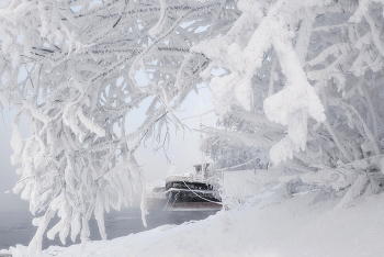 Warten auf den Frühling / ***