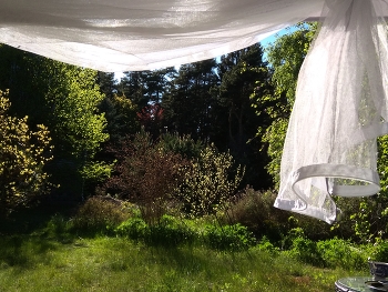 Fenster im Sommer / ***