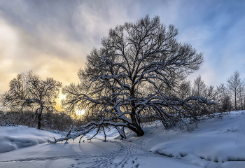Winterdämmerung / ***