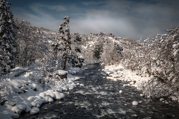 Mtirala February / ***