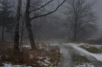 Nebliger Morgen / ***