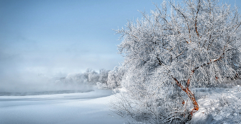 Winter-Skizzen. / ***