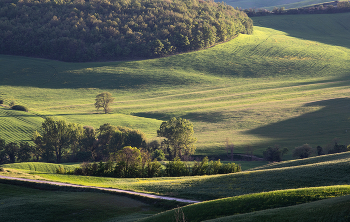 Warten auf die Wärme / ***