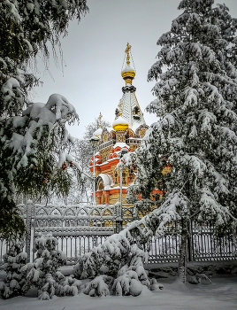 In Winter Park / ***