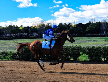 Vila-seca - carrera de cavalls a la Torre d'en Dolça - Tarragonès / Vila-seca - carrera de cavalls a la Torre d'en Dolça - Tarragonès