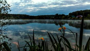 Morgendämmerung / ***