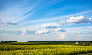 Einheimische Freiflächen / ***