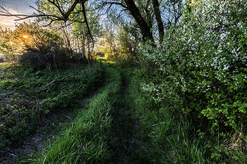 auf unbekannten Pfaden / ***