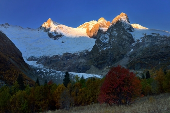 Morgendämmerung in den Bergen / ***