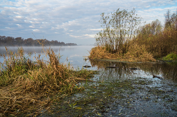 Herbst auf der Oka. / ***
