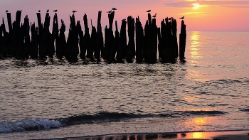 Melody Sonnenuntergang / ***