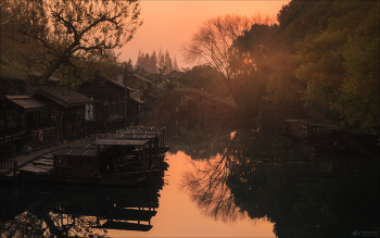 Wuzhen water town / ***