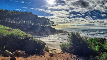Tarragona - La Mora - Bosc de la Marquesa - Tarragonès / Tarragona - La Mora - Bosc de la Marquesa - Tarragonès